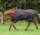 Ooteman Paardensport