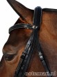 Ooteman Paardensport