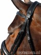 Ooteman Paardensport