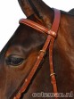 Ooteman Paardensport