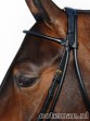 Ooteman Paardensport