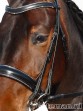 Ooteman Paardensport