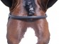 Ooteman Paardensport