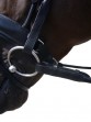 Ooteman Paardensport