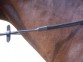 Ooteman Paardensport