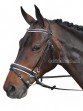 Ooteman Paardensport