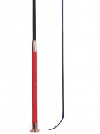 Harry's Horse Dressage Whip Kenitra Rio Red