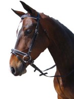 Vantaggio Hoofdstel Basic