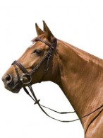 Kieffer Hoofdstel Belinda