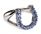 Falabella Ring Hoefijzer 01