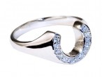 Falabella Ring Hoefijzer 03