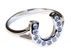 Falabella Ring Hoefijzer 05