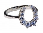 Falabella Ring Hoefijzer 06
