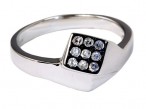 Falabella Ring Hoefnagel 07