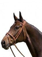 Kieffer Mexicaans Hoofdstel Arlene II