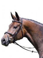 Kieffer Hoofdstel Nancy II