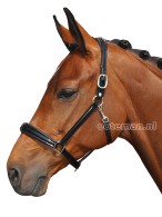 Otto Schumacher Headcollar Patent Leather