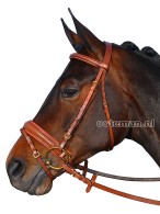 Vantaggio Bridle Maestoso Cognac/Gold