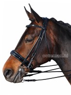 Vantaggio Hoofdstel Grazioso Extra Lakleder