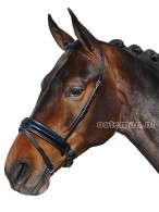 Vantaggio Neusriem Maestoso Soft Lakleder