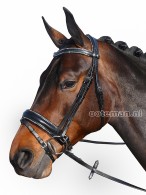 Vantaggio Bridle Allegro Swarovski