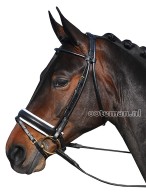 Vantaggio Bridle Grazioso Black/White/Gold