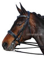 Vantaggio Weymouth Bridle Allegro Swarovski Extra