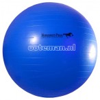 Horsemen's Pride Jolly Mega Ball 30 Blue