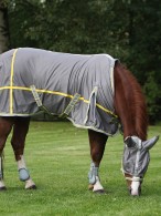 BR 4-Ever Horses Vliegendeken Griffin