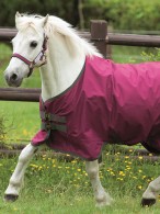 Amigo Regendeken Lite 600 D Magenta