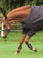 Amigo Regendeken Hero Lite Excalibur