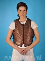 Hows Racesafe RS 2009 Brown