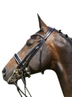 Kieffer Stang + Trens Hoofdstel Paris