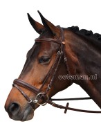 Vantaggio Bridle Presto Brown/Light Brown