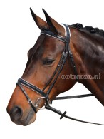 Vantaggio Bridle Duo Black/White