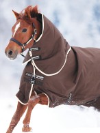 Amigo Winterdeken Bravo Original Medium