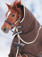 Amigo Halsstuk Bravo Medium