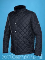 Kingsland Dressage Jack Navy