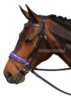 Otto Schumacher Bridle Purple