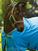 Amigo Halsterset Blue