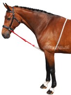 F.R.A. Lunging Help