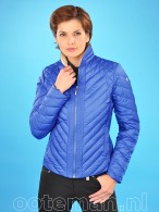 Kingsland Dressage Jack Dazzling Blue