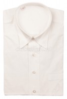 Nilette Competition Shirt Gino