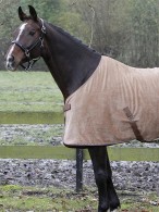 Harry's Horse Fleece Deken Amphora