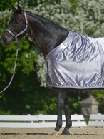 Eskadron Showdeken Silver