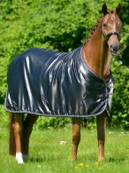 Eskadron Showdeken Navy