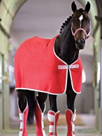 Amigo Zweetdeken Jersey Red