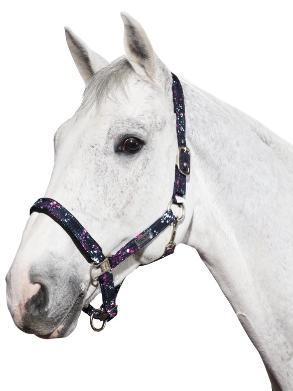Ooteman Paardensport