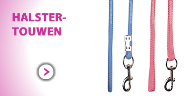 Ooteman Paardensport