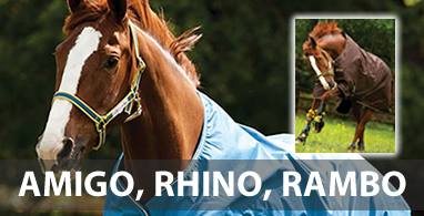 Ooteman Paardensport